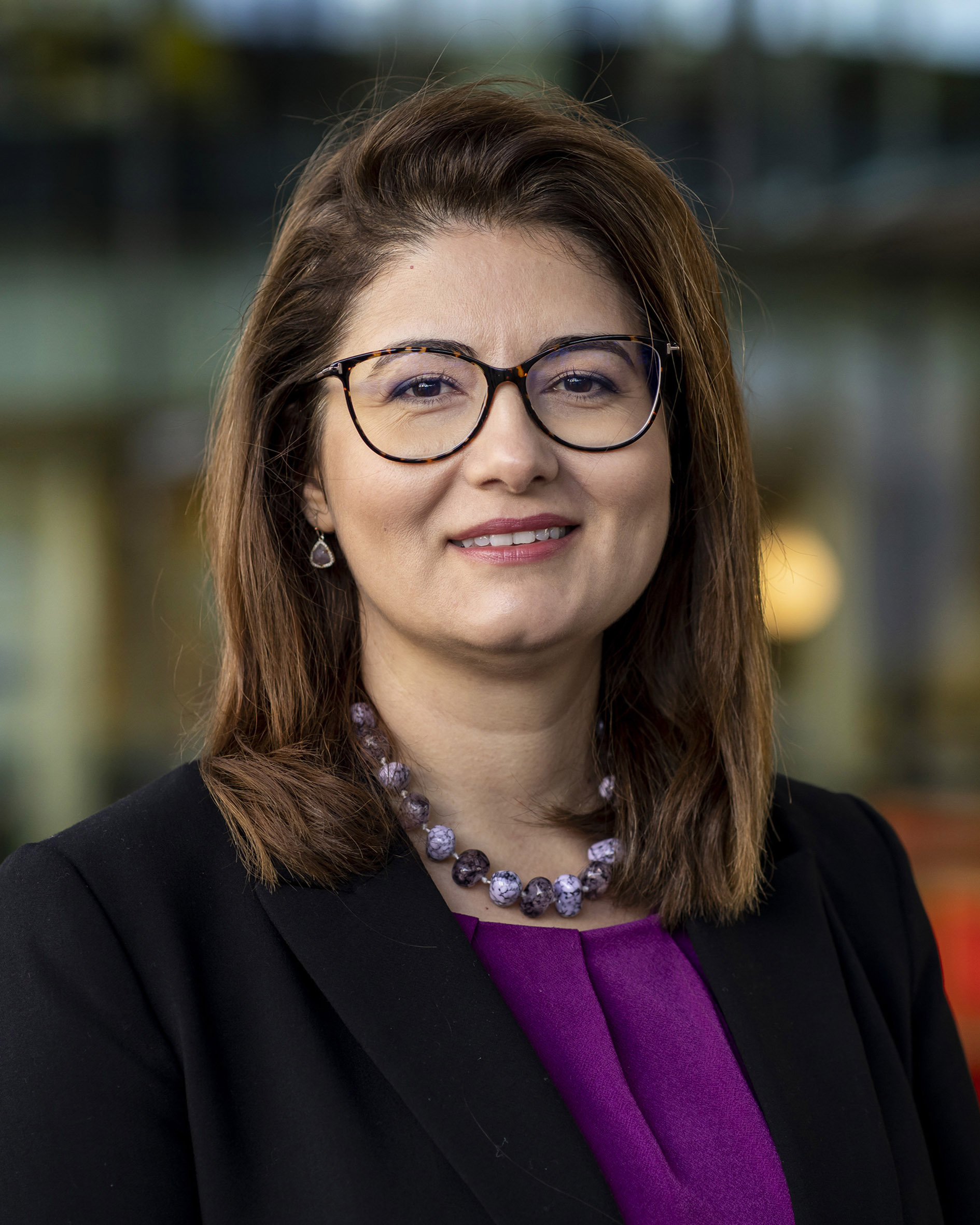 Aida Todri-Sanial, LIRMM, FR